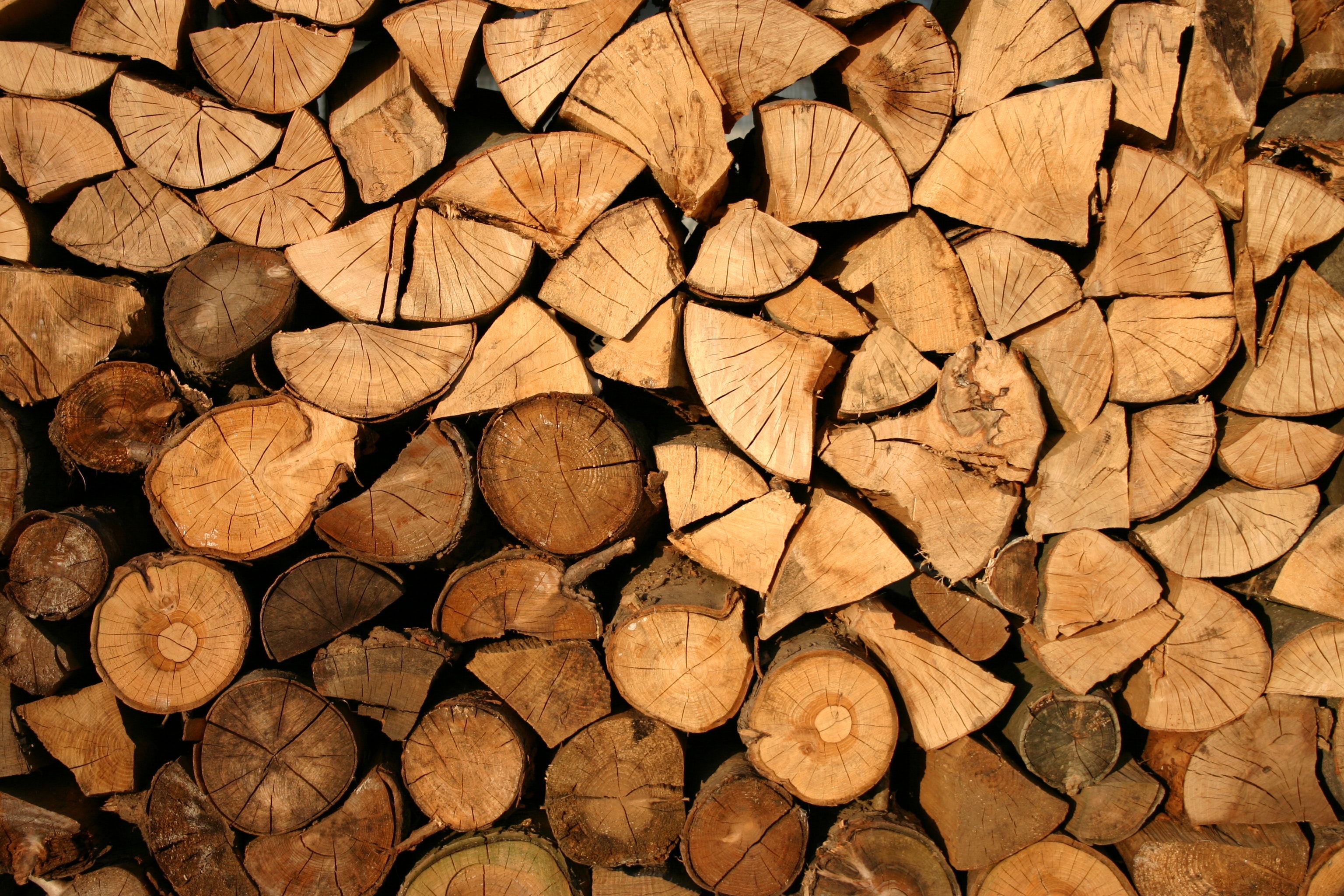 attribuut anker Obsessie Welk zaagblad voor welk hout? | Euromec